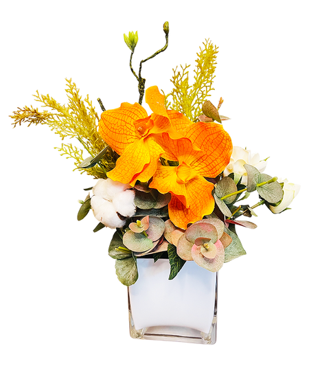 Mini Orange Vanda Botanica