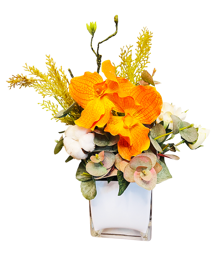 Mini Orange Vanda Botanica