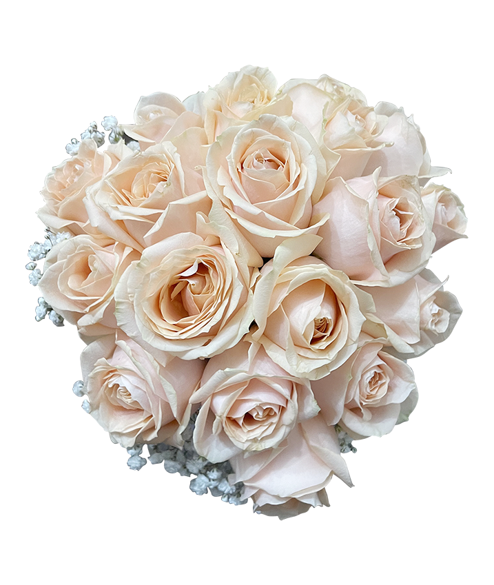 Bridal Hand Bouquet Rouge Champagne Rose ( Solemnization/ ROM/ Wedding )