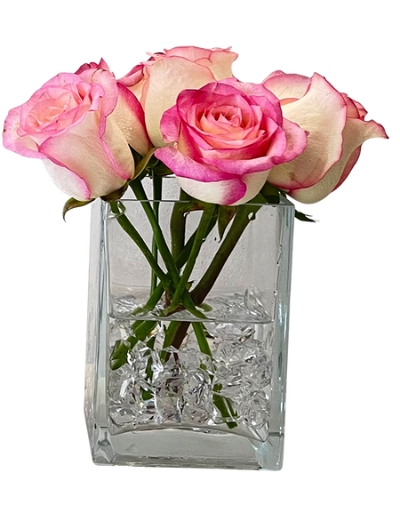 Minimalist 2Tone Pink Rose in Glass Vase