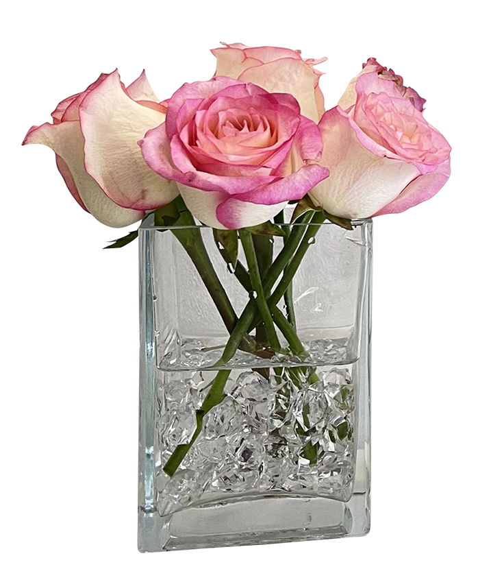 Minimalist 2Tone Pink Rose in Glass Vase