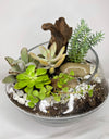 Contemporary Modern Terrarium 04