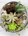 Contemporary Modern Terrarium 04