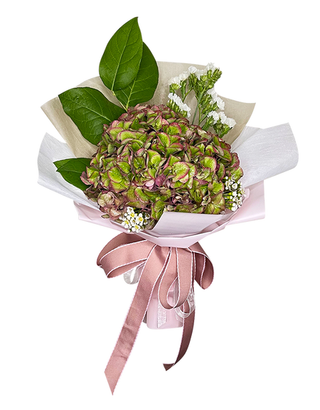 Ombre Hydrangea Bouquet