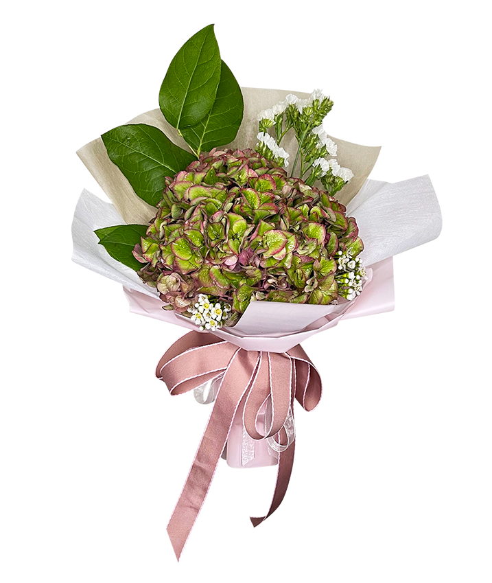 Ombre Hydrangea Bouquet