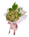 Ombre Hydrangea Bouquet