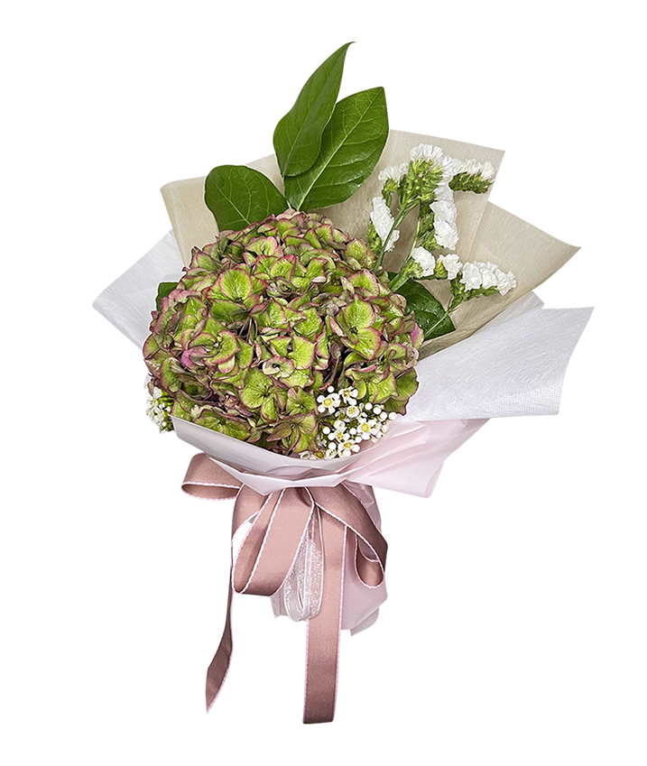 Ombre Hydrangea Bouquet
