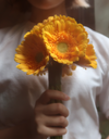 DIY Workshop -  Gerbera Styling Workshop