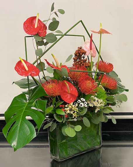Anthurium Tropical Paradise (Large)