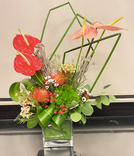 Anthurium Tropical Paradise (Medium)