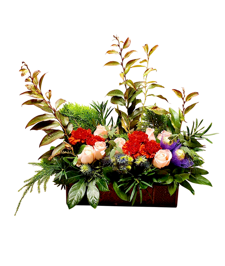 Garden Blooms