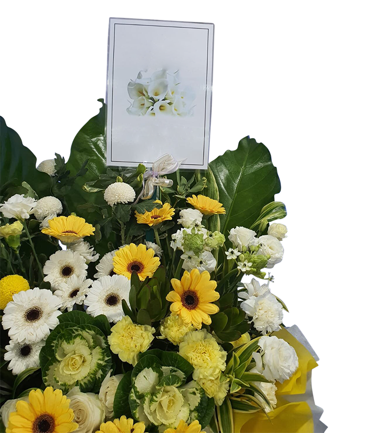 Compassion Sympathy Stand