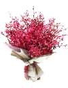 Exotic Deluxe Red Mokara ( Red Orchid Bouquet)