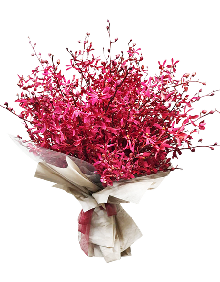 Exotic Deluxe Red Mokara ( Red Orchid Bouquet)