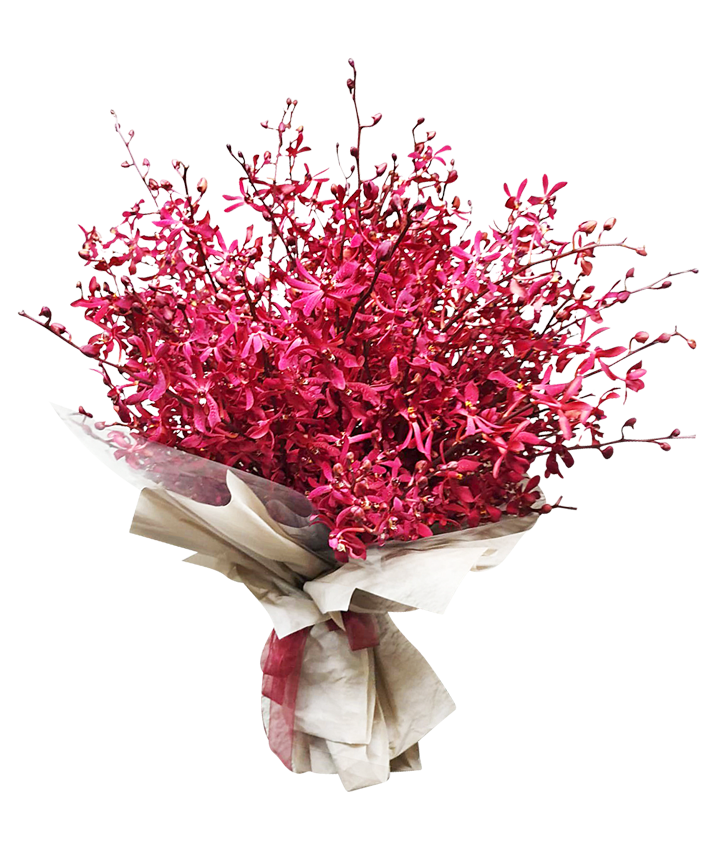 Exotic Deluxe Red Mokara ( Red Orchid Bouquet)