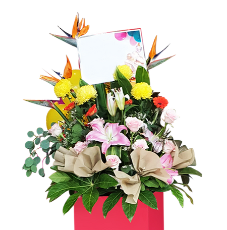 Resplendent I  Congratulatory Stand