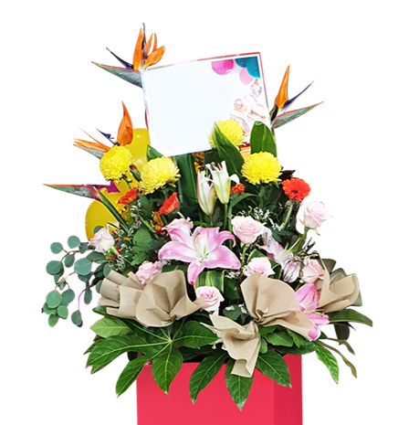 Resplendent I  Congratulatory Stand